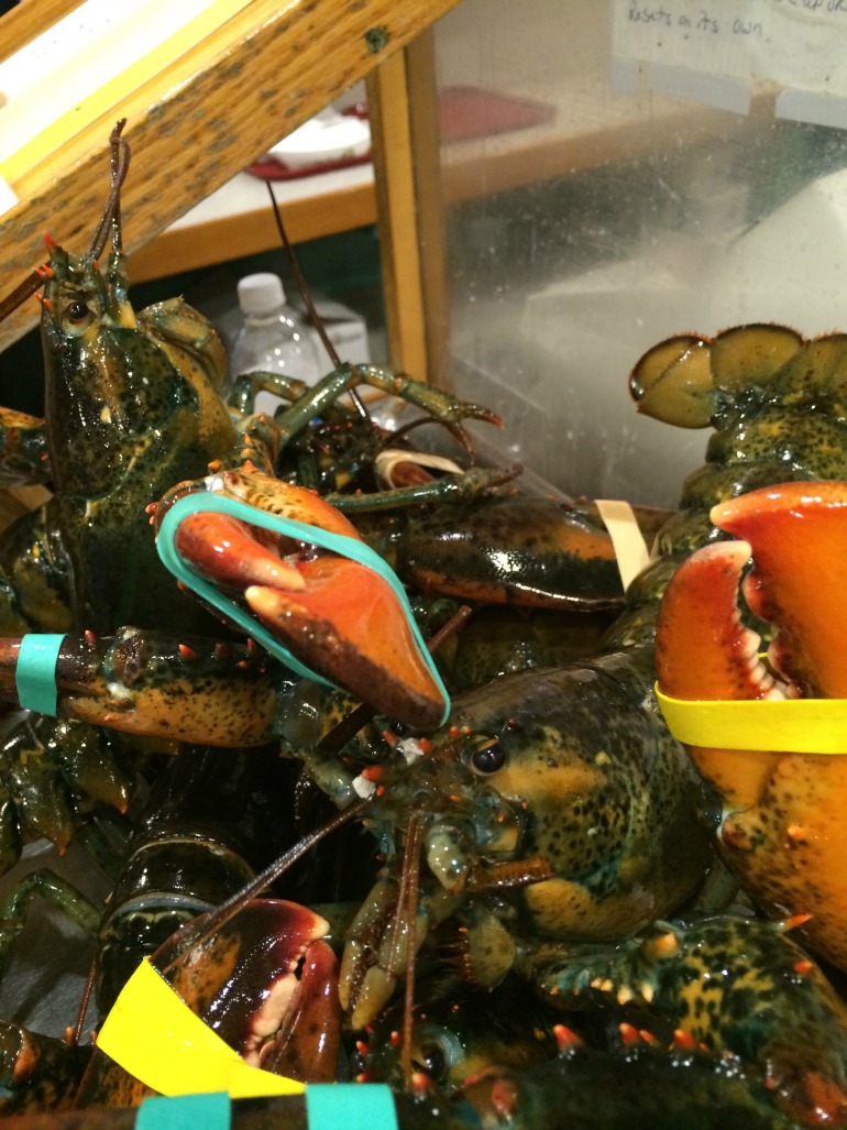 Browns Lobster New Hampshire